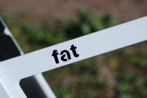 fat bike